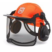 chainsaw helmet L & M Young South Wales