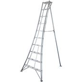 10 Rung Tripod Ladder