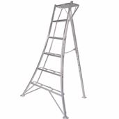 6 Rung Tripod Ladder