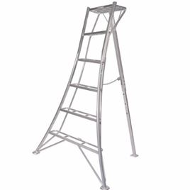 6 Rung Tripod Ladder